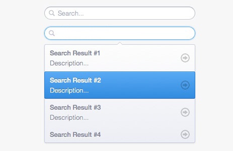 Search Box with Suggestions Dropdown